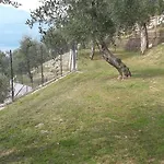 Agricampeggio Relax Campingplatz Brenzone sul Garda