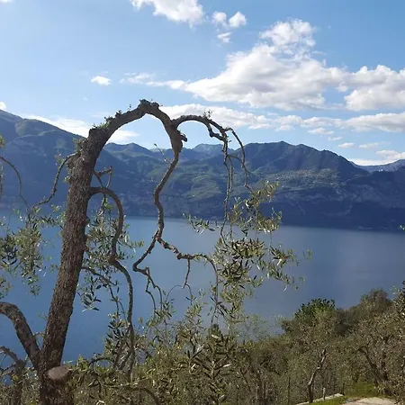 Agricampeggio Relax Brenzone sul Garda