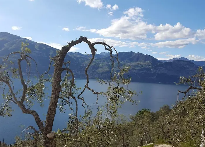 Agricampeggio Relax Brenzone sul Garda